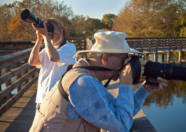 Birdwatchers, Boynton Beach 2011