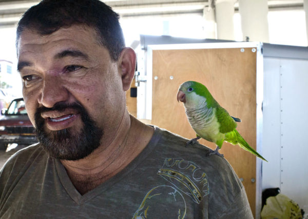 man with parakeet, Lake Worth 2011