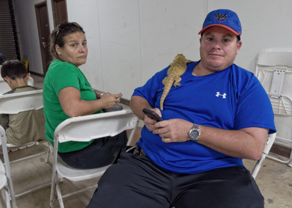 man with bearded dragon, W. Palm Beach 2014