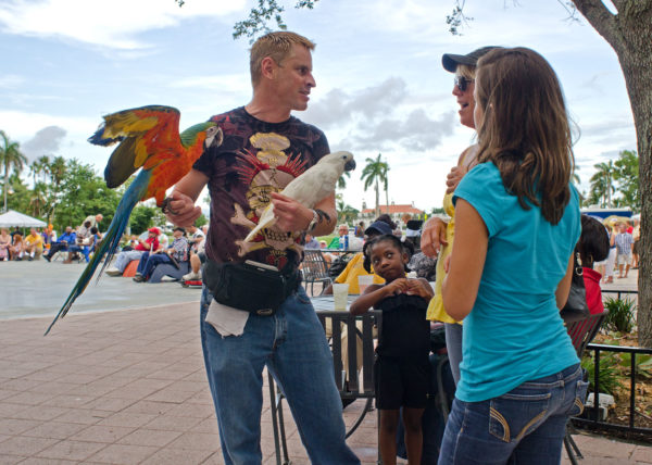 Exotic Birds