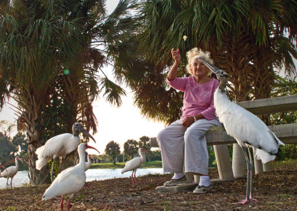 Woman feeding birds, Lake Worth 2012