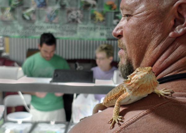 Man with bearded dragon, W. Palm Beach 2013