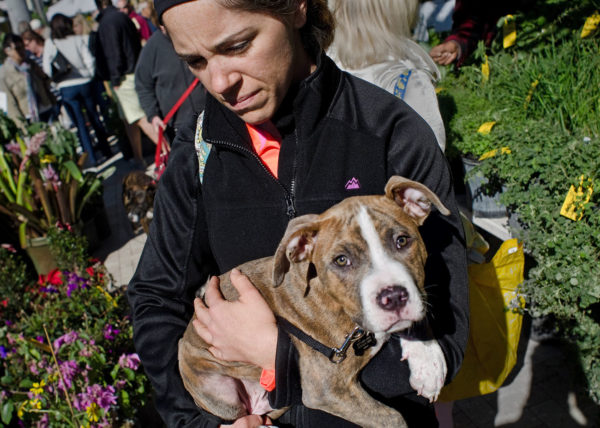 Sad puppy, West Palm Beach 2012