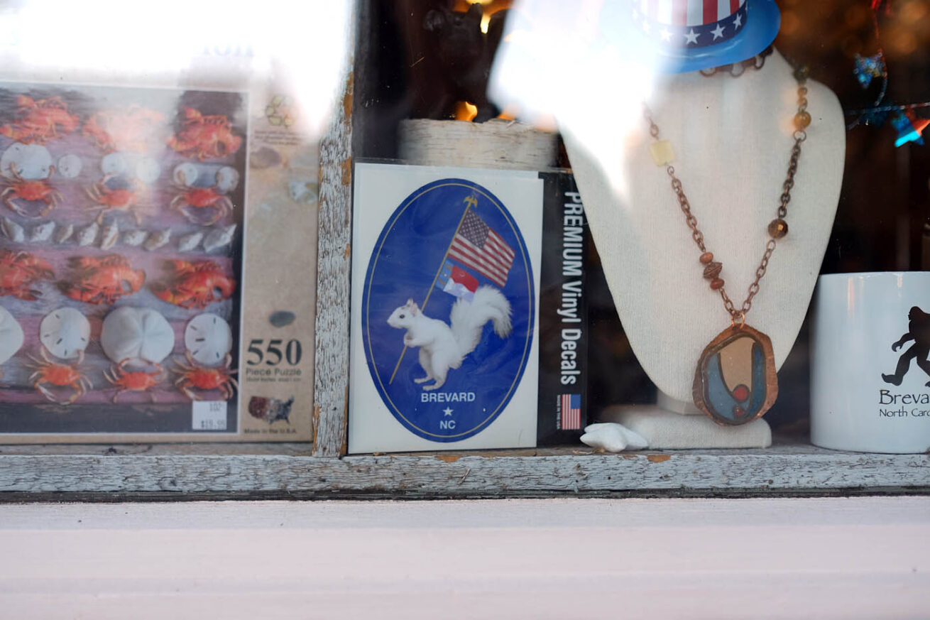 SquirrelFlag-w-