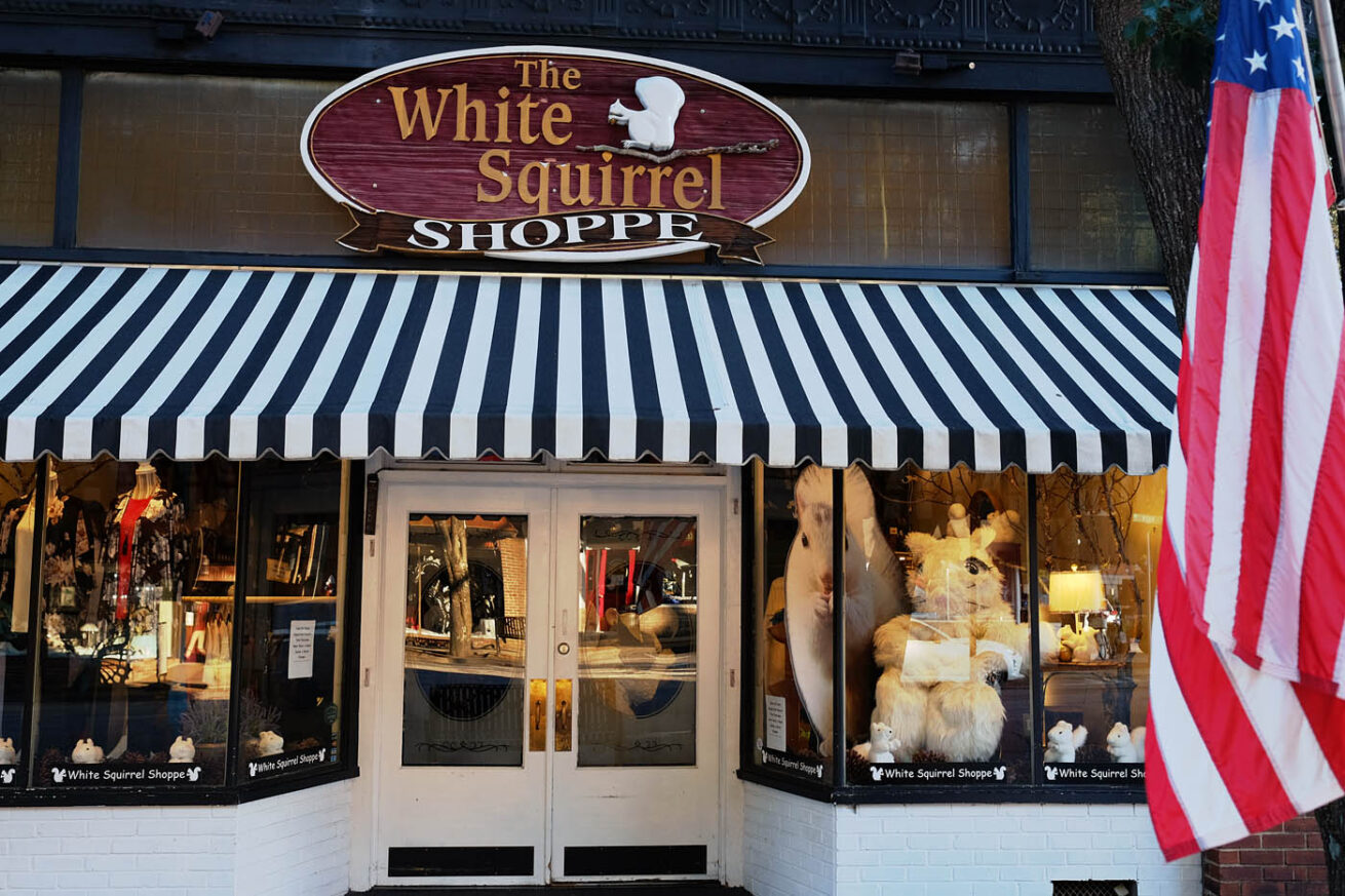 WhiteSquirrelShoppe-w-